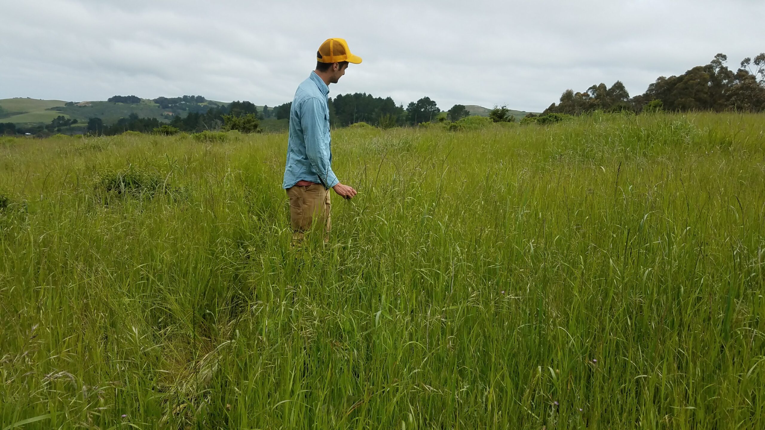 Ford_Smith-Grass_Whisperer Ford Smith, grass whisperer.
