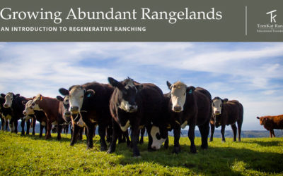 Growing Abundant Rangelands