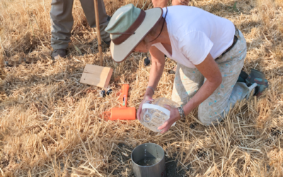 Soil Up Learning Lab at Paicines Ranch