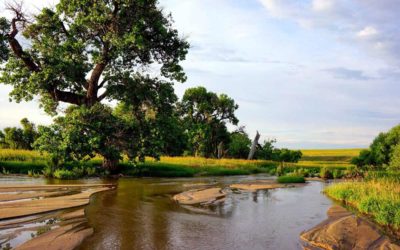 Profiles In Land and Management – Lowry Ranch