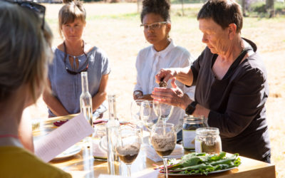 Gathering of Women in Culinary