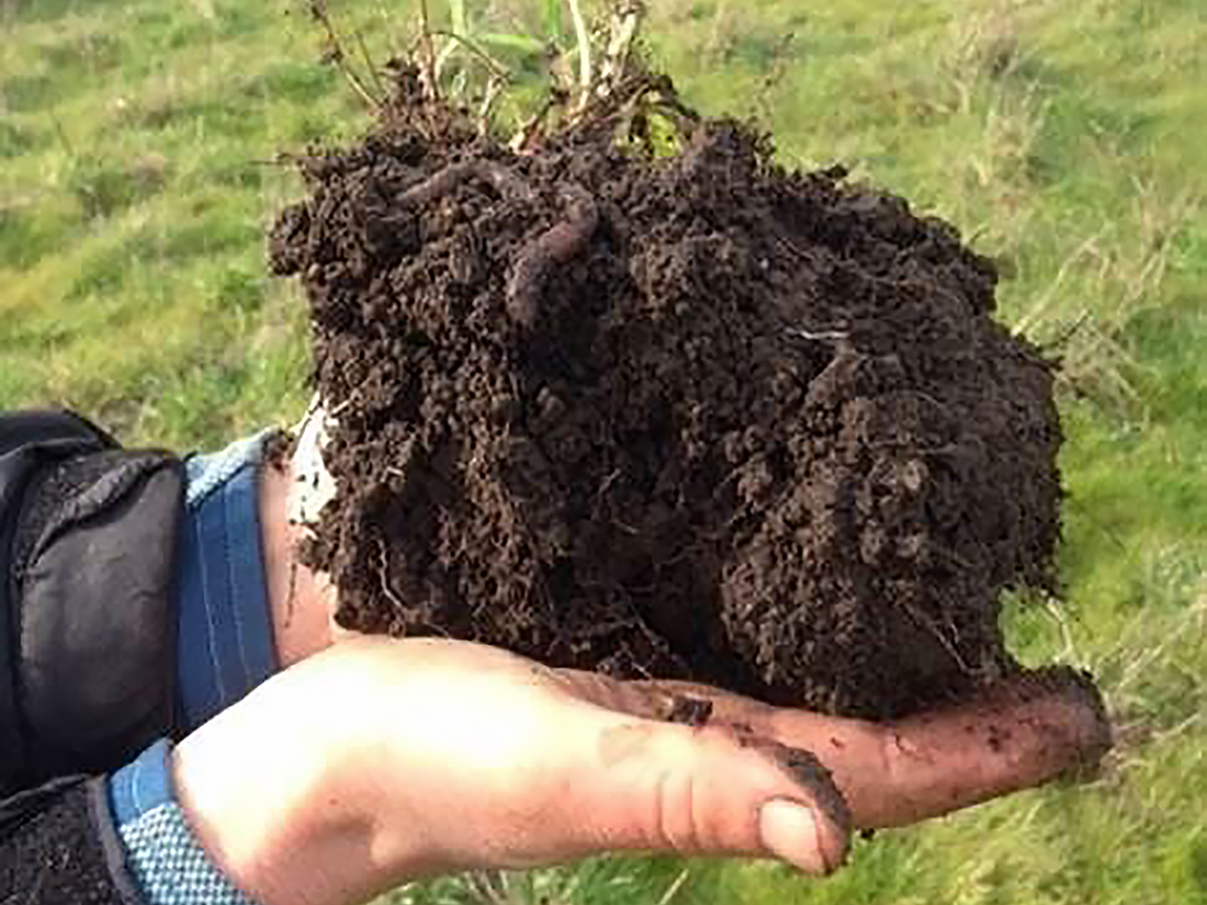 Changes in Soil Carbon at TomKat Ranch