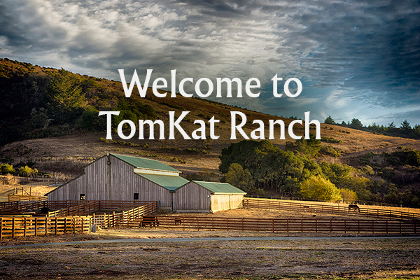 welcome-email-header-2020