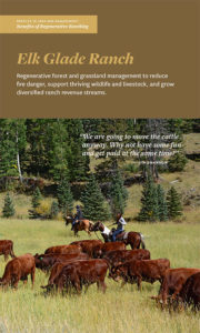 Profiles in Regenerative Ranching - Elk Glade Ranch