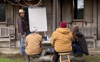 Meet Our 2021 Apprentices – Dillon, Jessica, and Alex