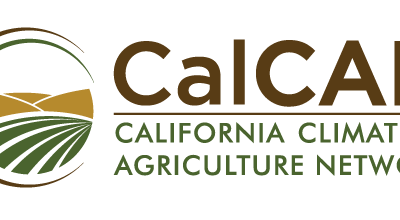 Report – Progress At The California Healthy Soils Program
