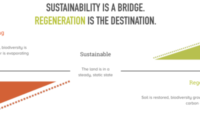 Joining the Savory EOV Program and Moving Towards Regeneration Verification