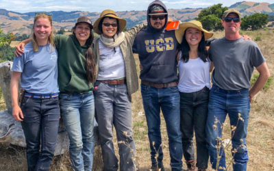 Regenerative Ranching Apprenticeship – Join Our Team!