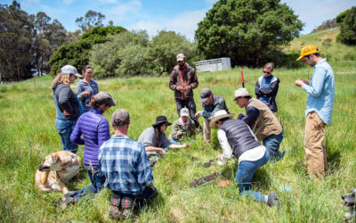 Upcoming Workshop with Nicole Masters at TomKat Ranch