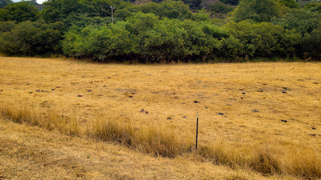 Excellent manure distribution post graze