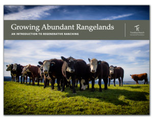 Growing Abundant Rangelands