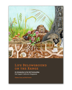 Life Below Ground