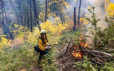 Apprentice Alex Michel’s Reflections on a Prescribed Burn Training Exchange