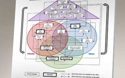 What We’re Reading – A Synthesis of Ranch-Level Sustainability Indicators for Land Managers and to Communicate Across the US Beef Supply Chain