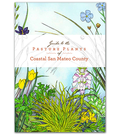 Guide to Pasture Plants