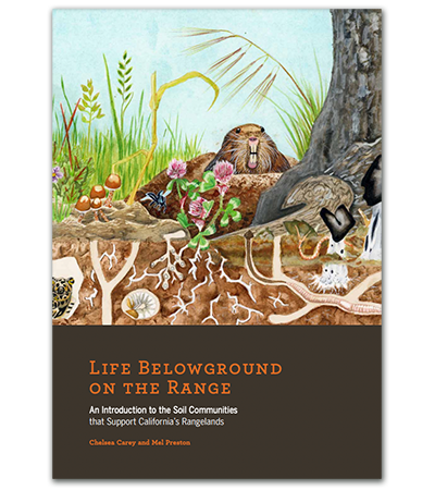 Life Below Ground