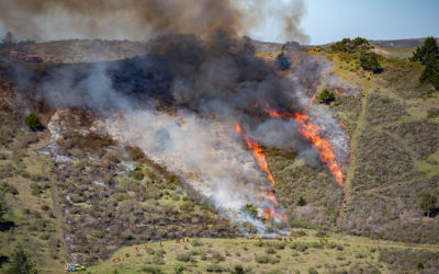 How We Monitor Land Systems Change After Prescribed Fires
