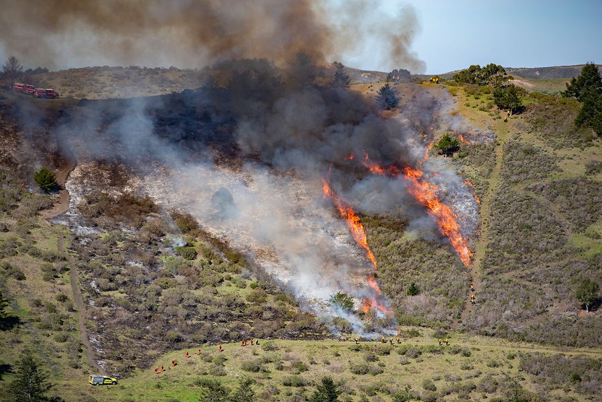 February 2022 Prescribed Fire on TomKat Ranch burning hillside