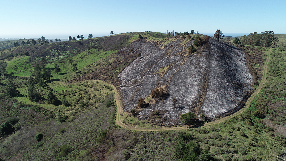 View of the burned area from the east showing the north end of the firing site.