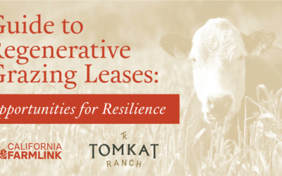 Guide to Regenerative Grazing Leases: Opportunities for Resilience