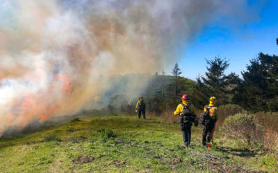 Fire Management and Prescribed Burns at TomKat Ranch