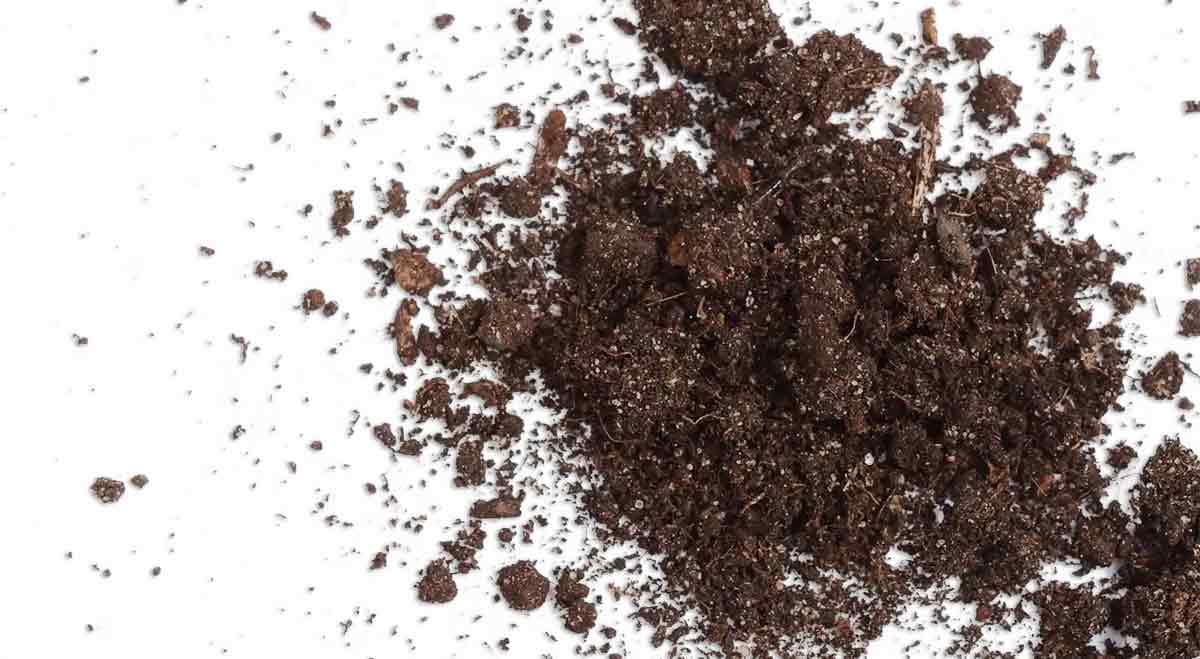 Soil Pile