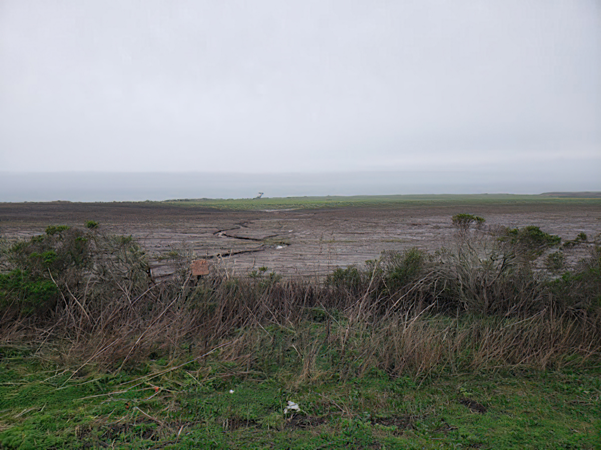 Bare soil is highly susceptible to topsoil loss