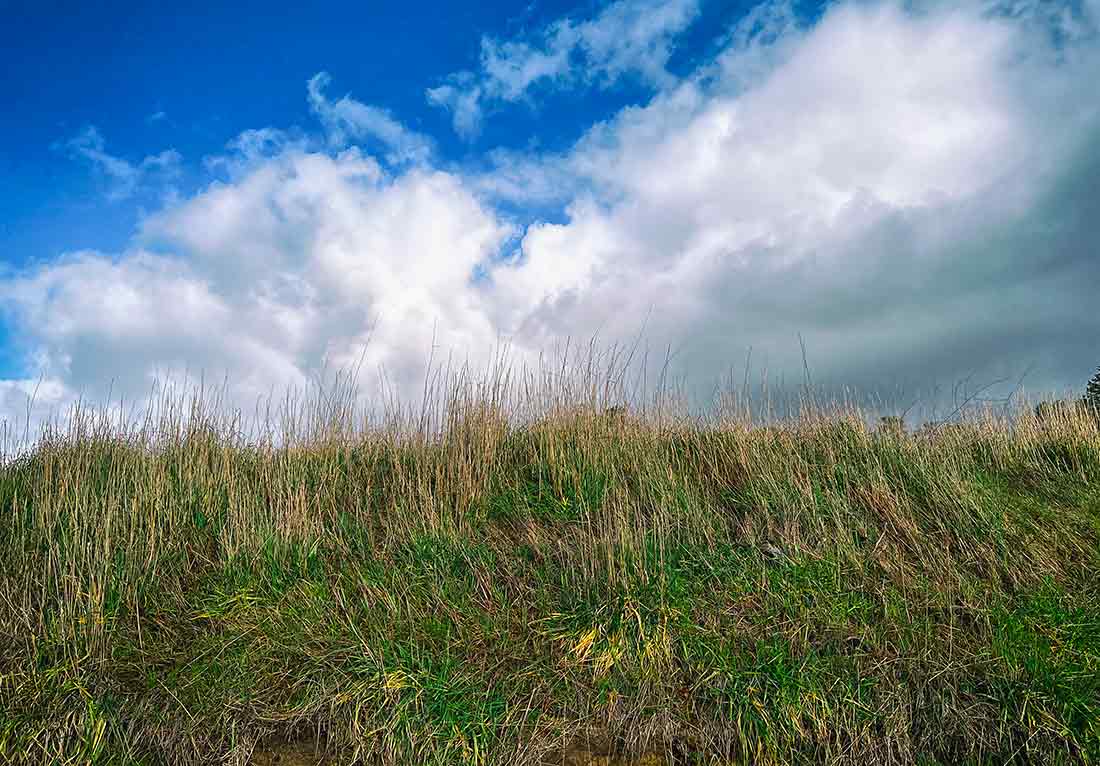 Clouds and Grass as symbol of the Earth sky relationship