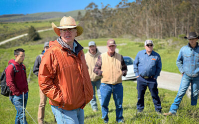 Is It Possible for A Cattle Ranch To Be Economically and Environmentally Sustainable? Matt Ricketts Thinks So