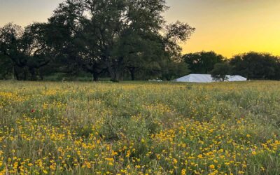 What Good Shall I Do Regenerative Agriculture Conference at ROAM Ranch