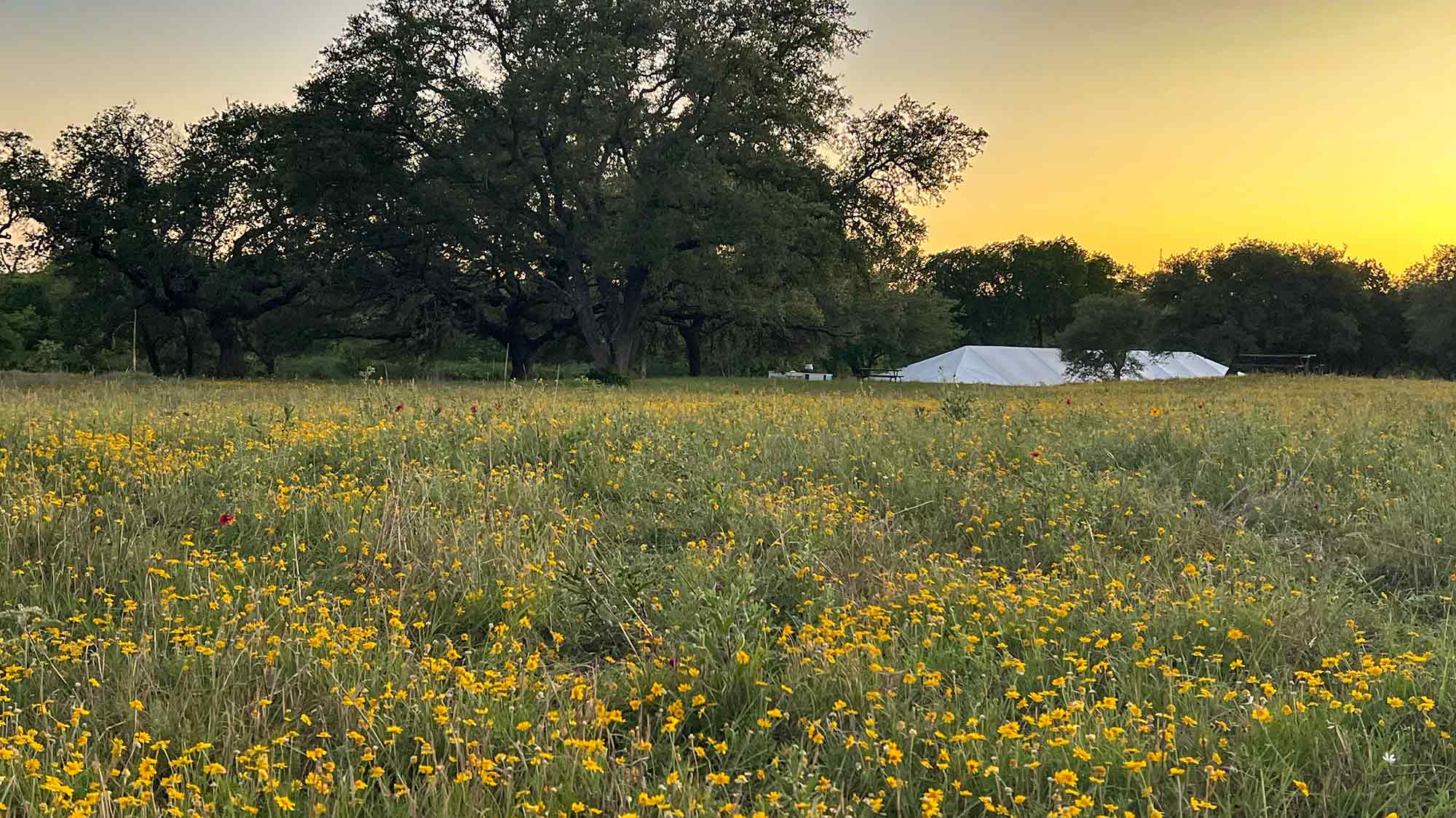 What Good Shall I Do Regenerative Agriculture Conference at ROAM Ranch