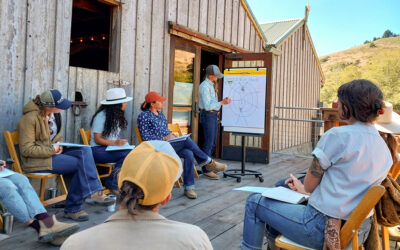 Growing Our Capacity for Good Work: A Stockmanship Clinic with Marissa Taylor