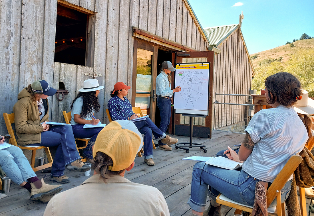 Growing Our Capacity for Good Work: A Stockmanship Clinic with Marissa Taylor