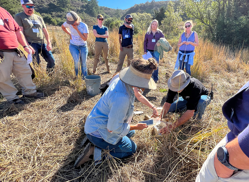 Learning soil water infiltration techniques at TomKat Ranch