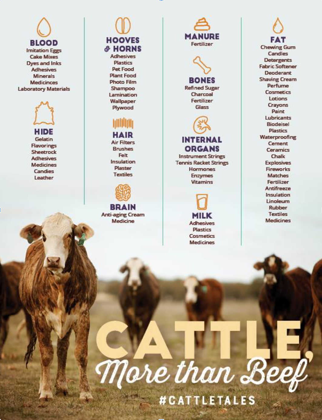 Graphic by CATTLETALES