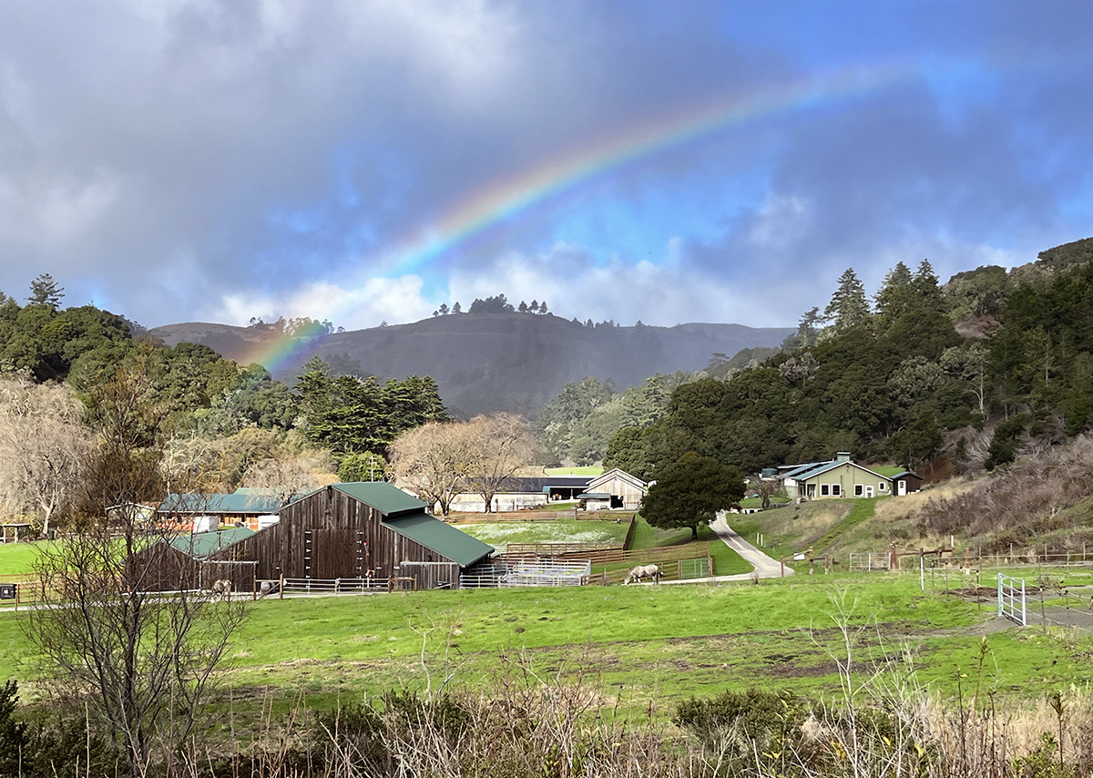 Rainbow over TomKat Ranch by Susan Hadacek