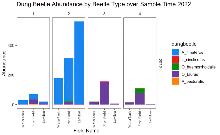 Dung Beetle Abundance-2022