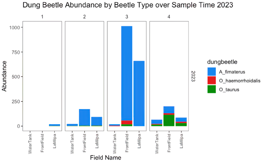 Dung Beetle Abundance-2023