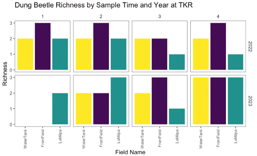 Dung Beetle richness by time of year