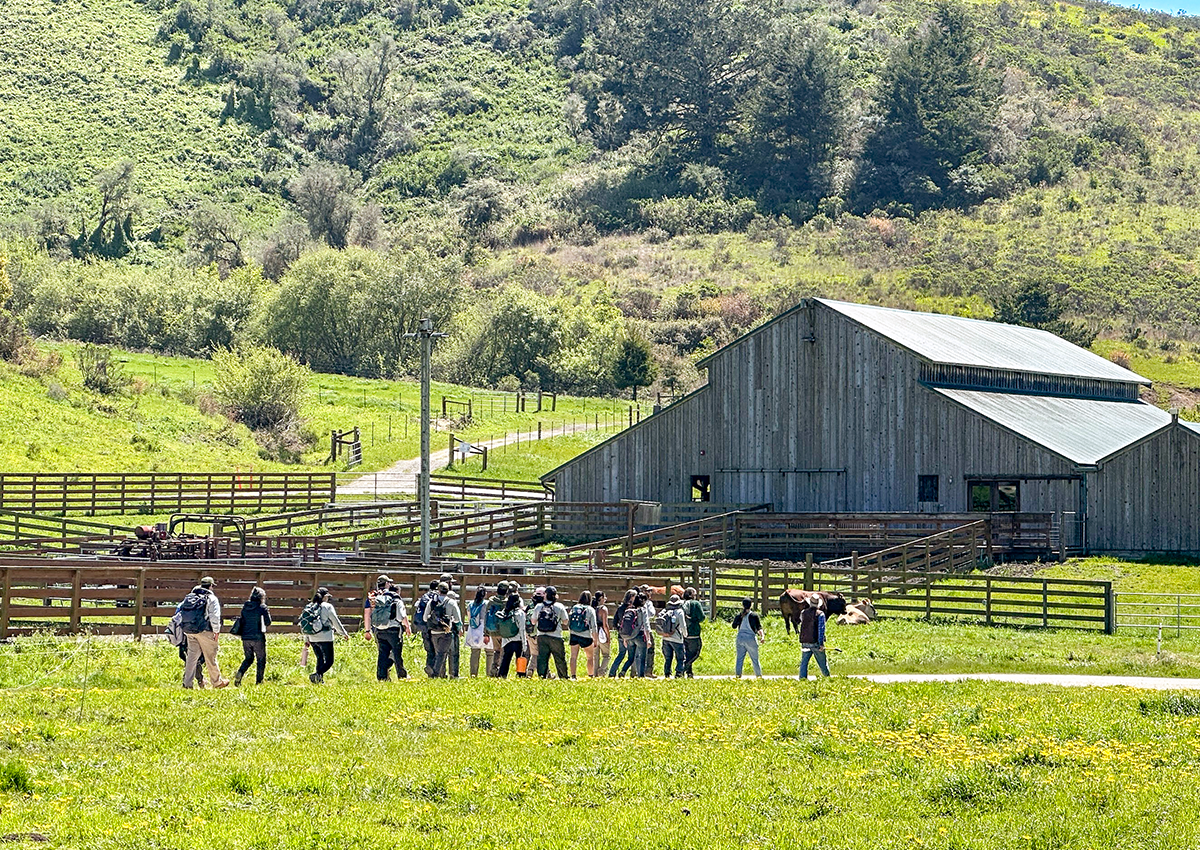 Field walk at TomKat Ranch with the whip-smart students from West Valley College