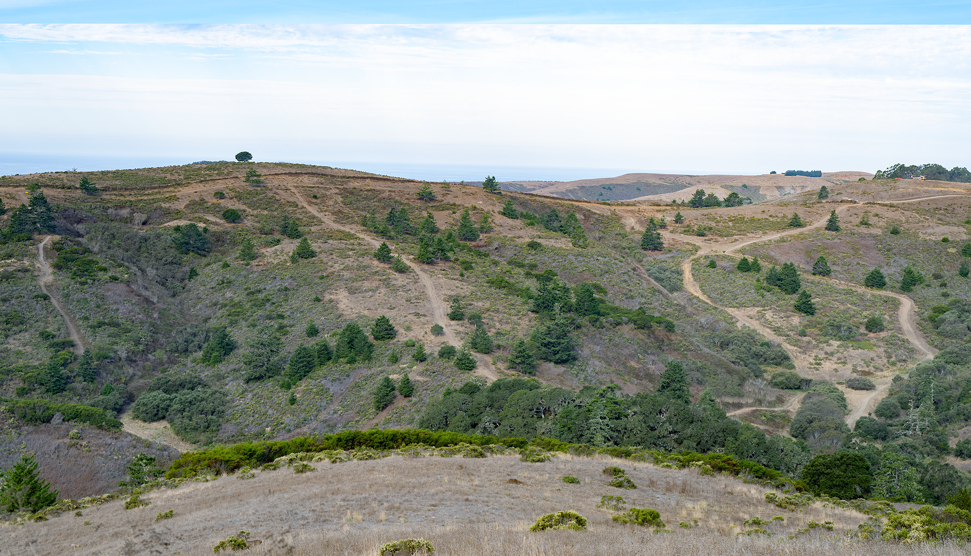 after-burn-1-Oct-26-2024-over Echo Pasture after prescribed fire Oct. 2024