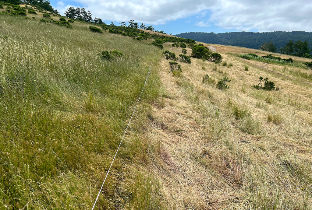 Ranching By The Numbers Article 2 TomKat Ranch Grazed And Resting Grasses 1024x690 