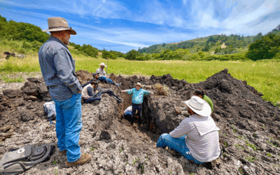 Where Restoration Meets Management – Implementing Regenerative Land Management at TomKat and Beyond