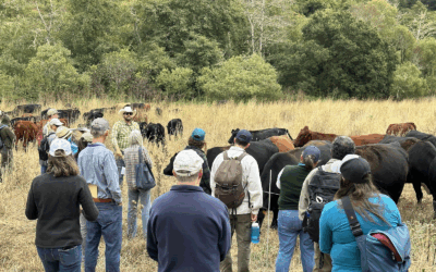 Regenerative Ranching 101: Growing Knowledge and Inspiring Action