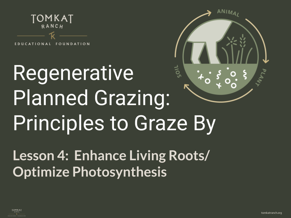 GLCI - Lesson 4 - Intro Regenerative Planned Grazing: Principles to Graze By - Lesson 4
