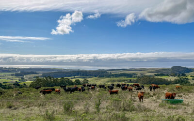 Where Restoration Meets Management – What Conservation Landscapes Can Learn and Implement from Regenerative Agriculture