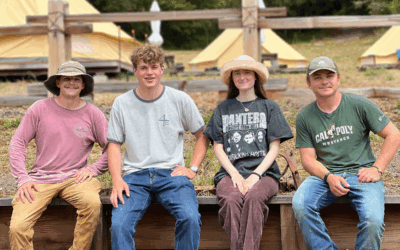 Meet our 2025 Intern Cohort!