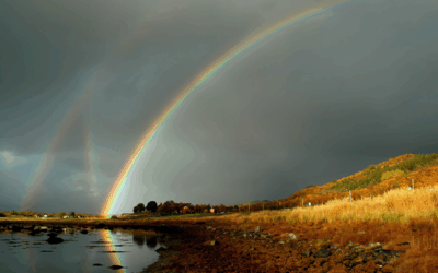 The Water Cycle, Part 1 of 3: Is Water the Real Key to a Stable Climate?