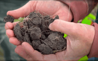 Creating a soil carbon primer