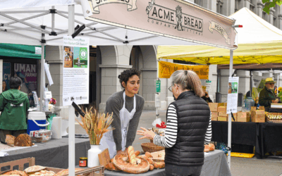 Where Are They Now: Rachel Sullivan Update